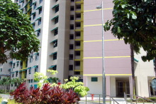 Blk 484 Segar Road (Bukit Panjang), HDB 5 Rooms #221862